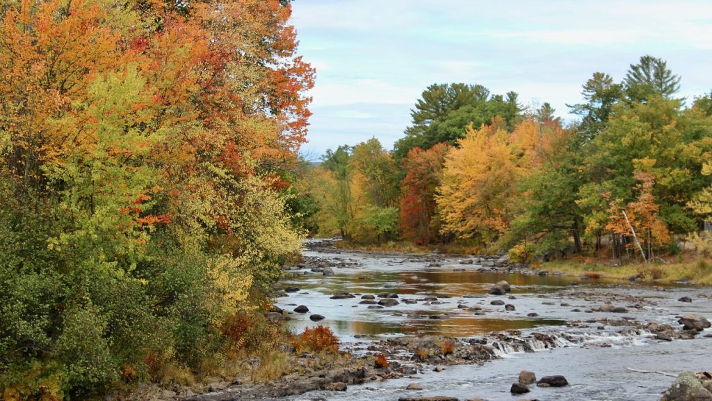 Fall, new england, new hampshire — Innovative Wege in der digitalen Kunst: Die Rolle von Blockchain-Technologie