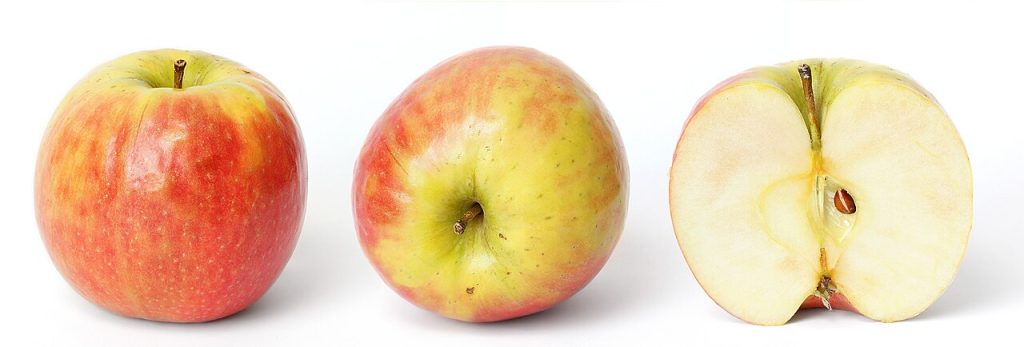 Apple product launches