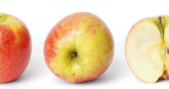 Apple product launches