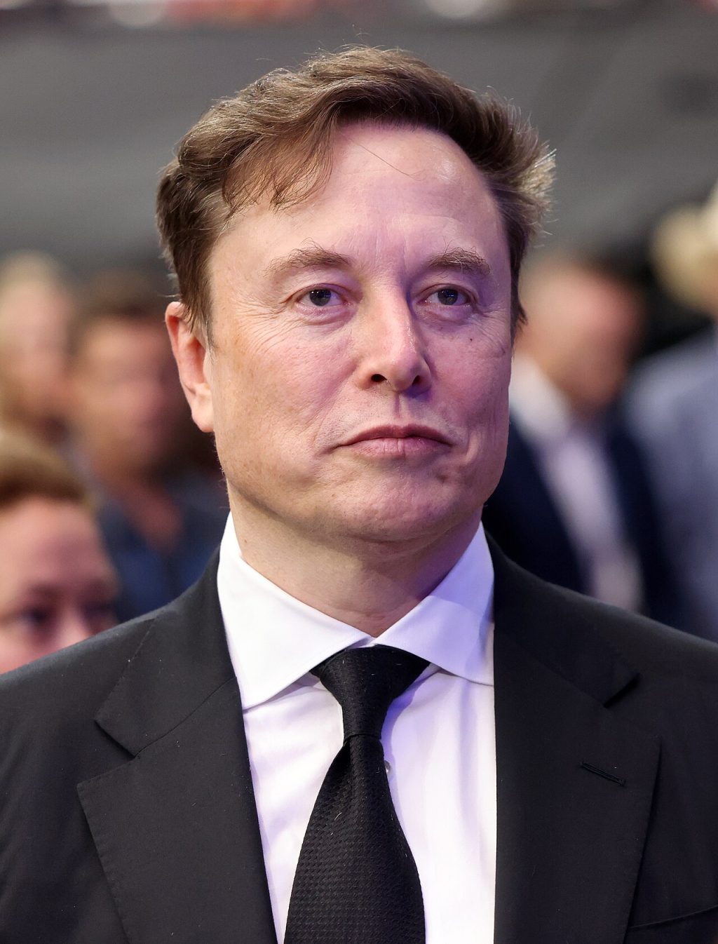 Elon Musk fortune