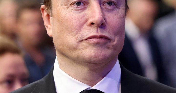 Elon Musk fortune